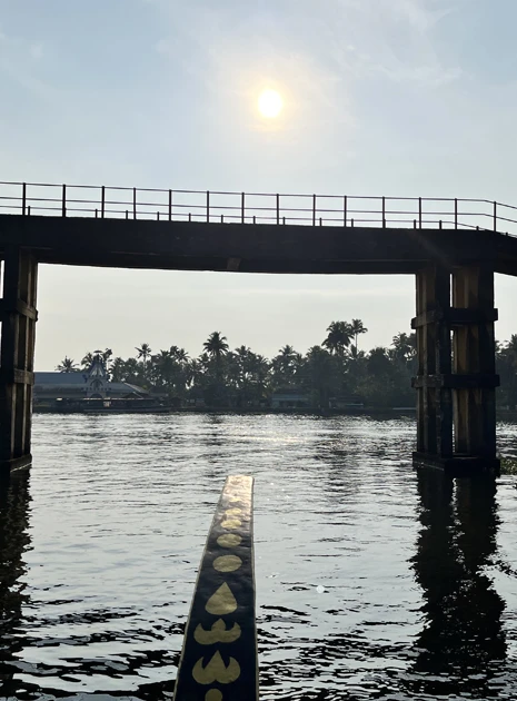 Top Rated Lunch Shikara Ride Alleppey